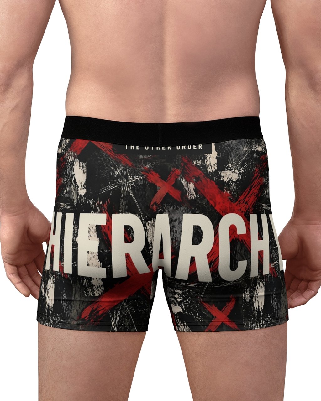 The Other Order HIERARCHY X, boxer briefs in obsidian — worn — rear