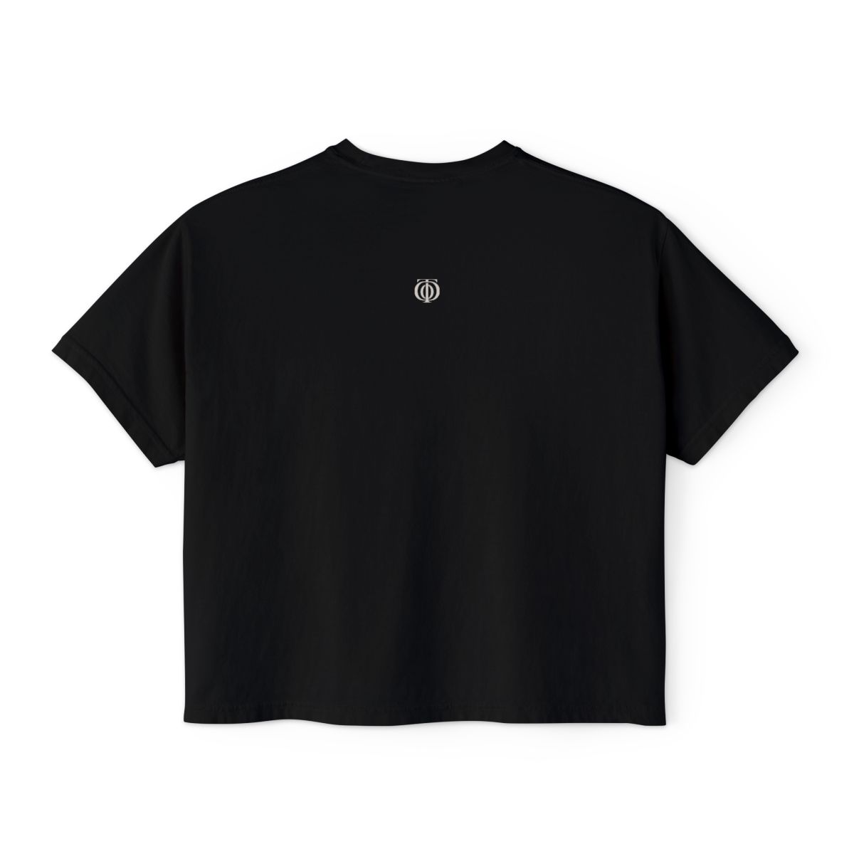The Other Order THE UNCLASSIFIED, boxy tee in obsidian — back